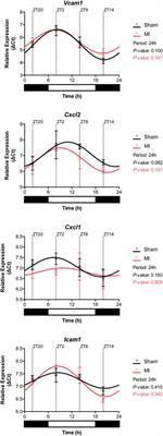 Circadian Dependence of the Acute Immune Response to Myocardial Infarction